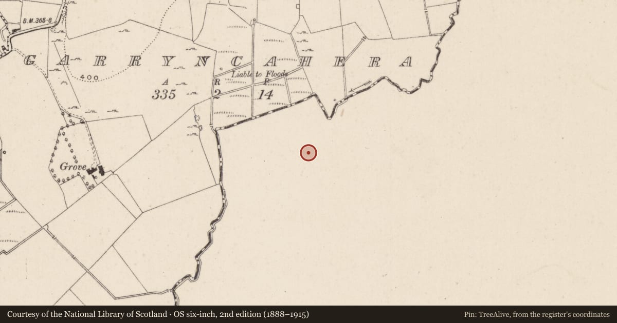 Ordnance Survey six-inch map, 2nd edition (1888–1915) covering the location of Barrow - stepped barrow, Ballyvistea, County Tipperary South, with a pin at the register's coordinates
