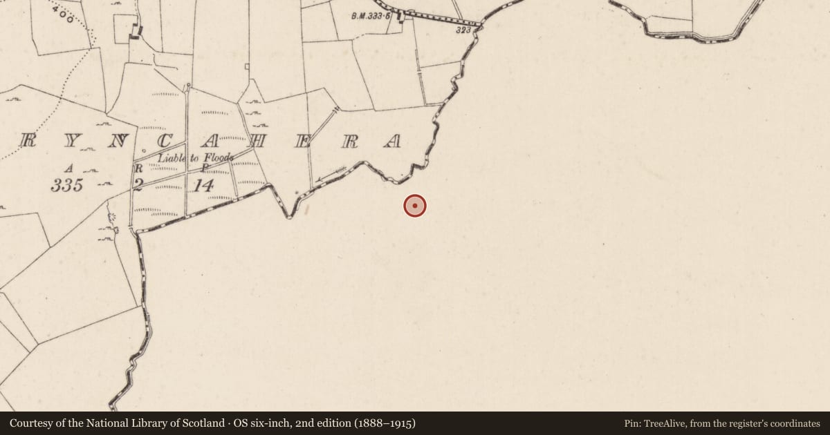 Ordnance Survey six-inch map, 2nd edition (1888–1915) covering the location of Ringfort - rath, Ballyvistea, County Tipperary South, with a pin at the register's coordinates