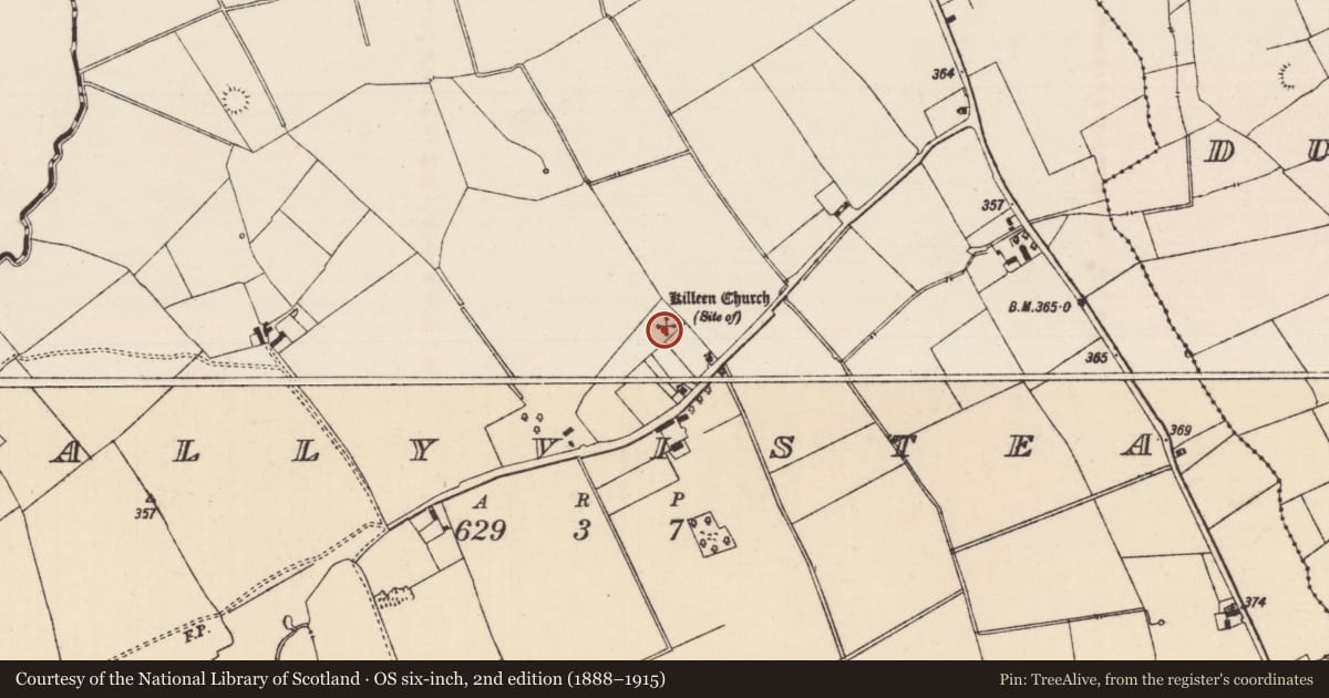 Ordnance Survey six-inch map, 2nd edition (1888–1915) covering the location of Church, Ballyvistea, County Tipperary South, with a pin at the register's coordinates
