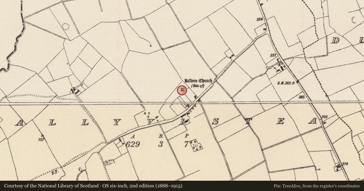 Ordnance Survey six-inch map, 2nd edition (1888–1915) covering the location of Graveyard, Ballyvistea, County Tipperary South, with a pin at the register's coordinates