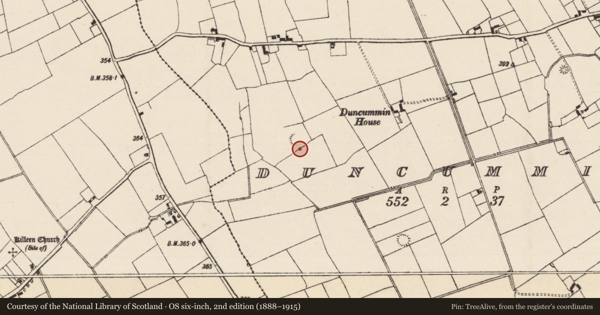 Ordnance Survey six-inch map, 2nd edition (1888–1915) covering the location of Standing stone, Duncummin, County Tipperary South, with a pin at the register's coordinates