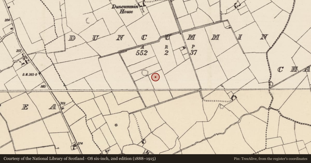 Ordnance Survey six-inch map, 2nd edition (1888–1915) covering the location of Field system, Duncummin, County Tipperary South, with a pin at the register's coordinates