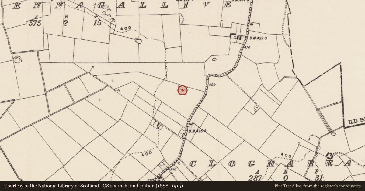 Ordnance Survey six-inch map, 2nd edition (1888–1915) covering the location of Ringfort - rath, Killeennagallive, County Tipperary South, with a pin at the register's coordinates