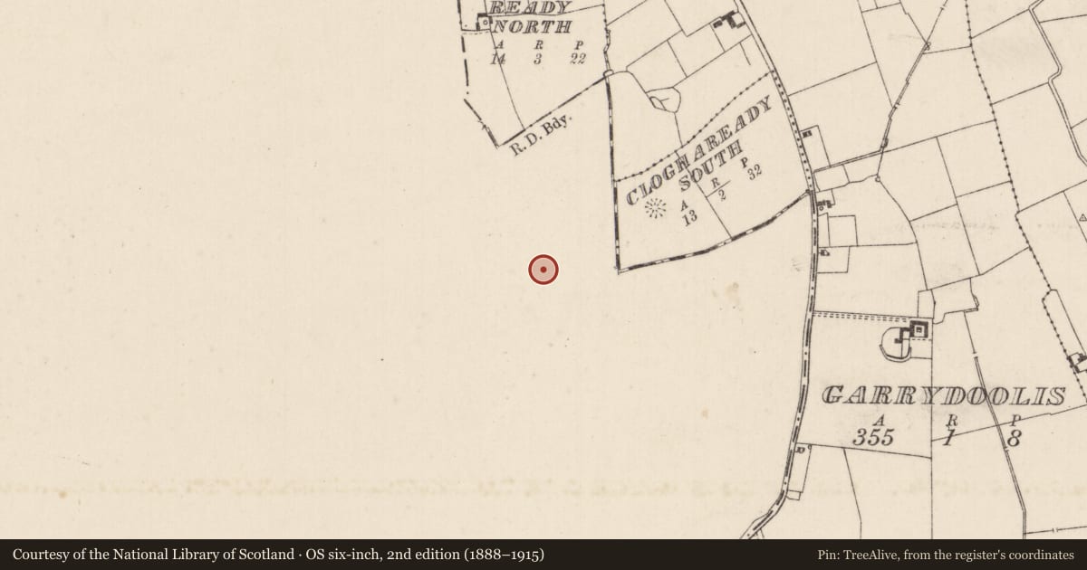 Ordnance Survey six-inch map, 2nd edition (1888–1915) covering the location of Road - road/trackway, Cloghaready, County Tipperary South, with a pin at the register's coordinates