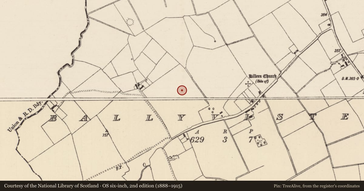 Ordnance Survey six-inch map, 2nd edition (1888–1915) covering the location of Enclosure, Ballyvistea, County Tipperary South, with a pin at the register's coordinates