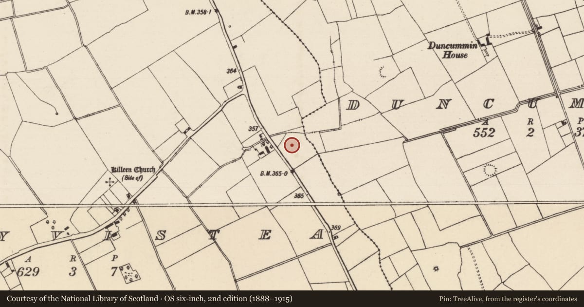 Ordnance Survey six-inch map, 2nd edition (1888–1915) covering the location of Enclosure, Ballyvistea, County Tipperary South, with a pin at the register's coordinates
