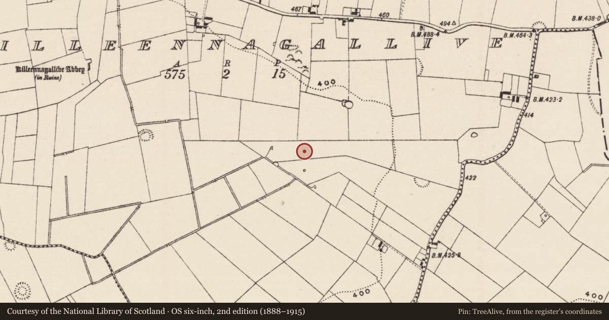 Ordnance Survey six-inch map, 2nd edition (1888–1915) covering the location of Road - road/trackway, Killeennagallive, County Tipperary South, with a pin at the register's coordinates