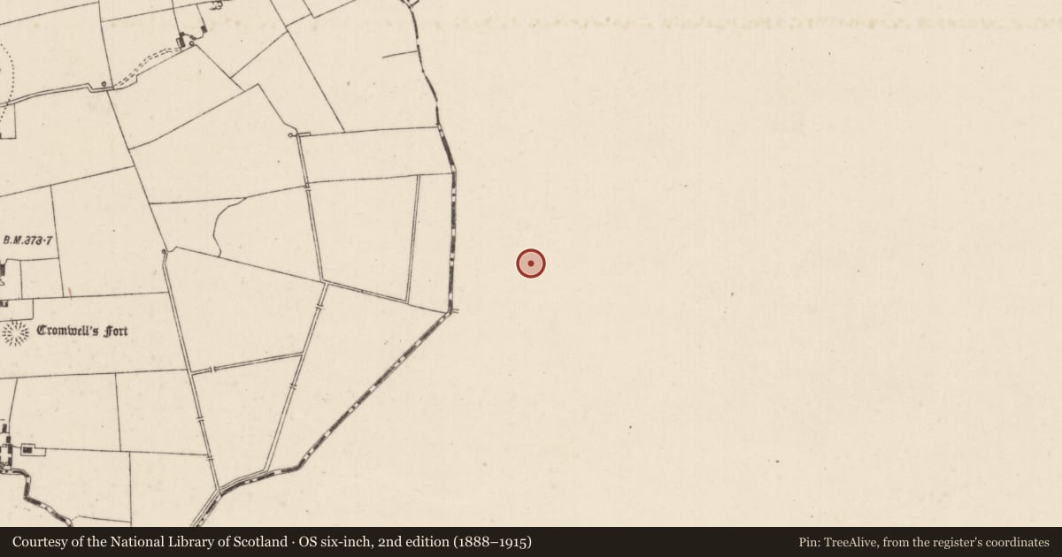 Ordnance Survey six-inch map, 2nd edition (1888–1915) covering the location of Ringfort - rath, Killeennagallive, County Tipperary South, with a pin at the register's coordinates