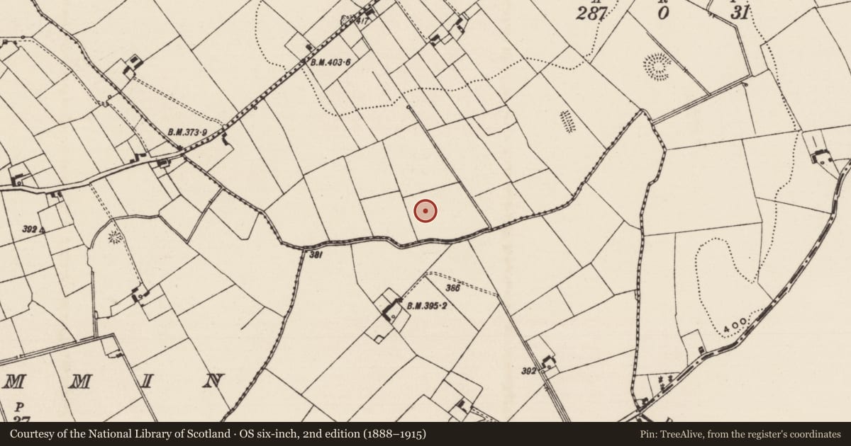 Ordnance Survey six-inch map, 2nd edition (1888–1915) covering the location of Barrow - ditch barrow, Cloghaready, County Tipperary South, with a pin at the register's coordinates