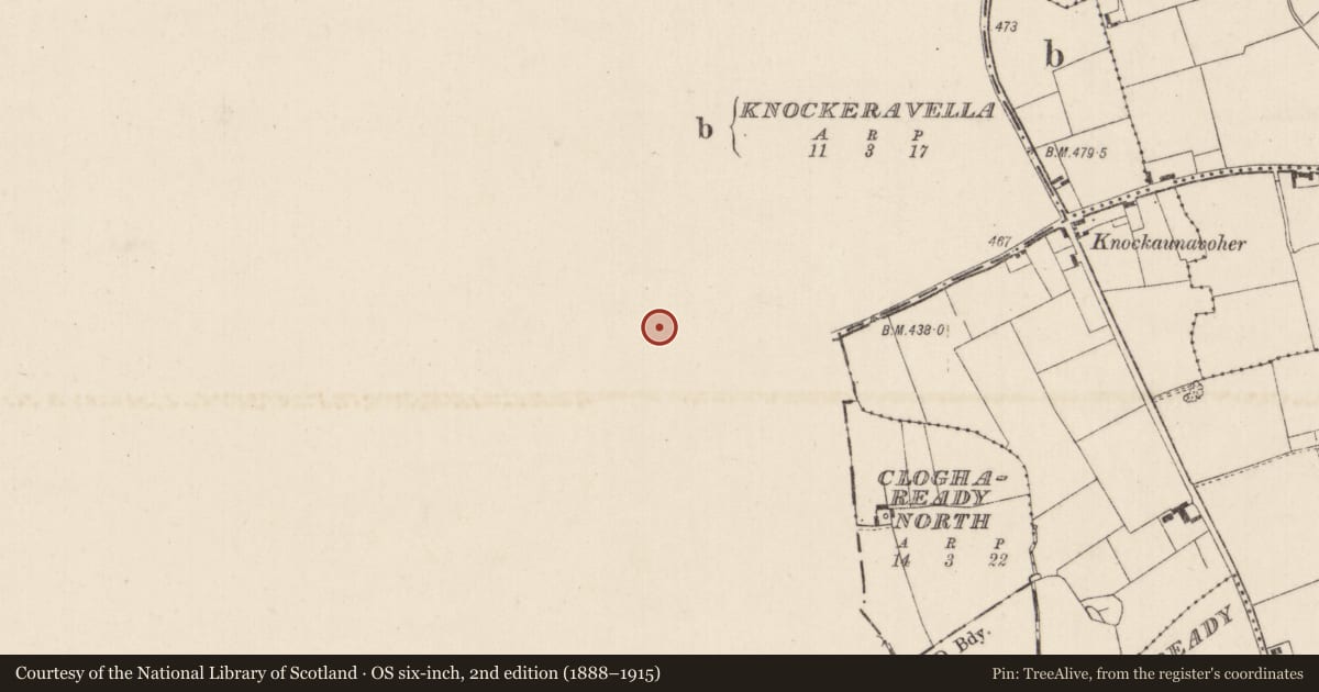 Ordnance Survey six-inch map, 2nd edition (1888–1915) covering the location of Standing stone, Killeennagallive, County Tipperary South, with a pin at the register's coordinates