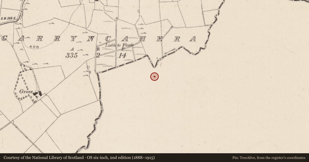 Ordnance Survey six-inch map, 2nd edition (1888–1915) covering the location of Barrow - ring-barrow, Ballyvistea, County Tipperary South, with a pin at the register's coordinates