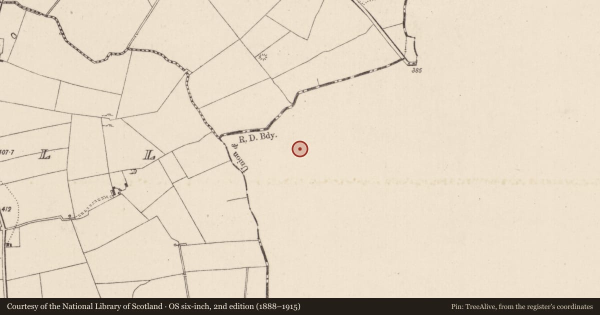Ordnance Survey six-inch map, 2nd edition (1888–1915) covering the location of Enclosure - large enclosure, Killeennagallive, County Tipperary South, with a pin at the register's coordinates