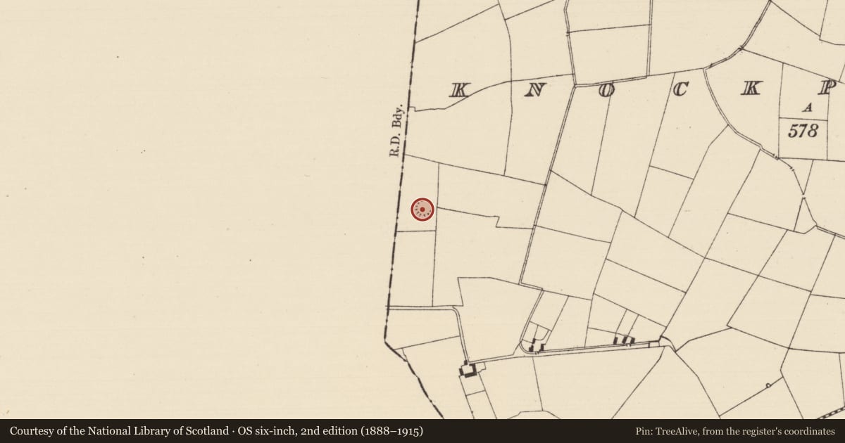 Ordnance Survey six-inch map, 2nd edition (1888–1915) covering the location of Ringfort - rath, Knockphelagh, County Tipperary South, with a pin at the register's coordinates