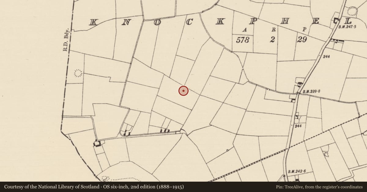 Ordnance Survey six-inch map, 2nd edition (1888–1915) covering the location of Ringfort - rath, Knockphelagh, County Tipperary South, with a pin at the register's coordinates