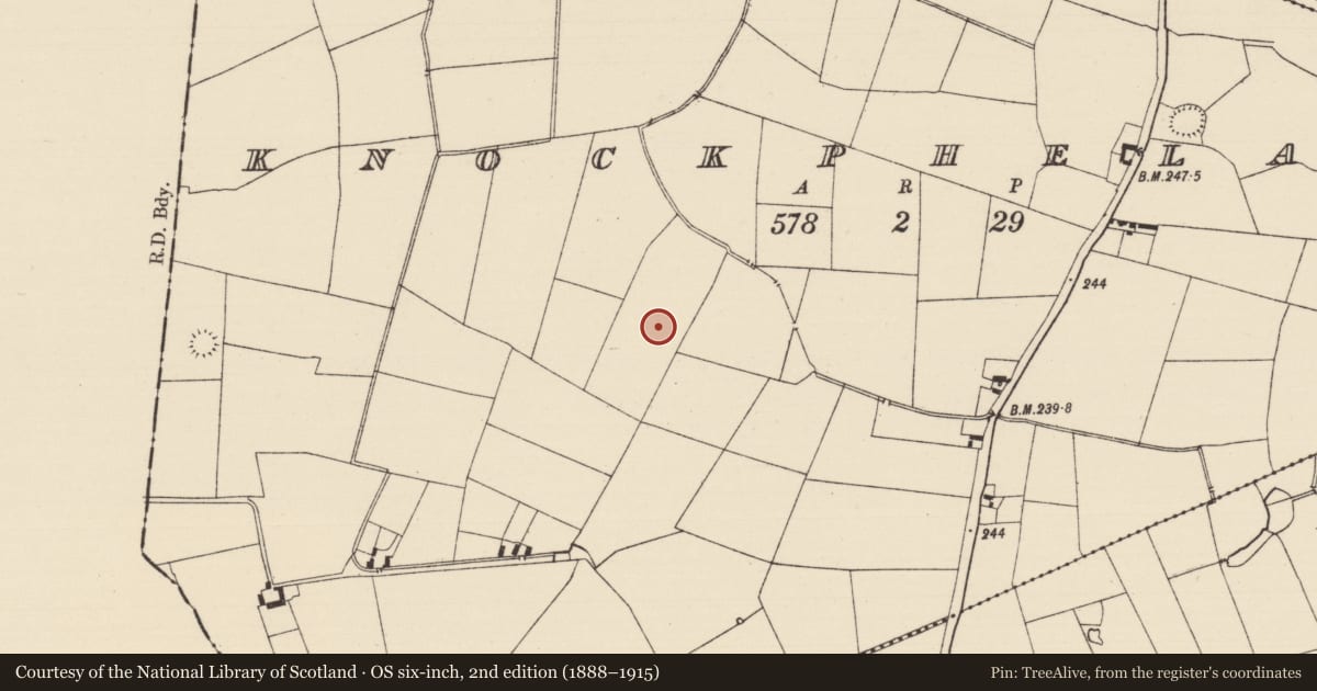Ordnance Survey six-inch map, 2nd edition (1888–1915) covering the location of Enclosure, Knockphelagh, County Tipperary South, with a pin at the register's coordinates