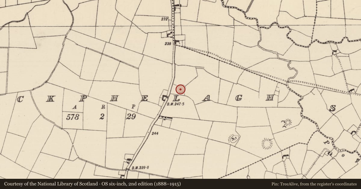 Ordnance Survey six-inch map, 2nd edition (1888–1915) covering the location of Ringfort - rath, Knockphelagh, County Tipperary South, with a pin at the register's coordinates