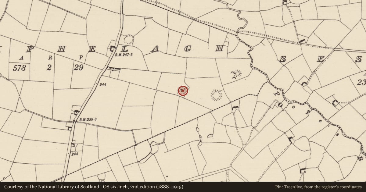 Ordnance Survey six-inch map, 2nd edition (1888–1915) covering the location of Ringfort - rath, Knockphelagh, County Tipperary South, with a pin at the register's coordinates
