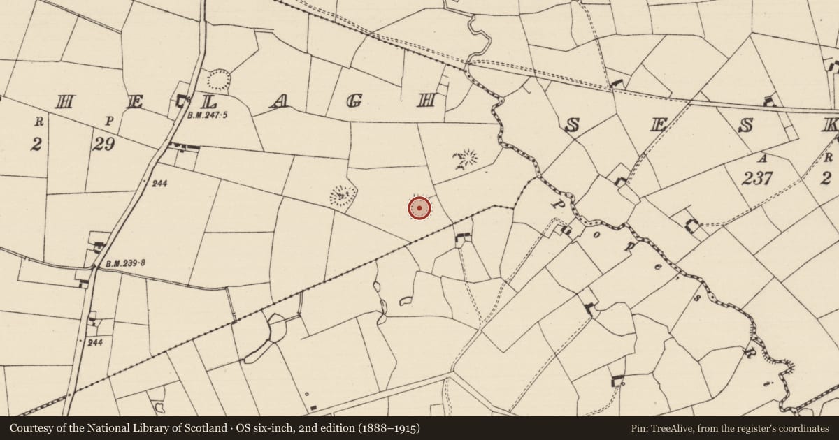 Ordnance Survey six-inch map, 2nd edition (1888–1915) covering the location of Enclosure, Knockphelagh, County Tipperary South, with a pin at the register's coordinates