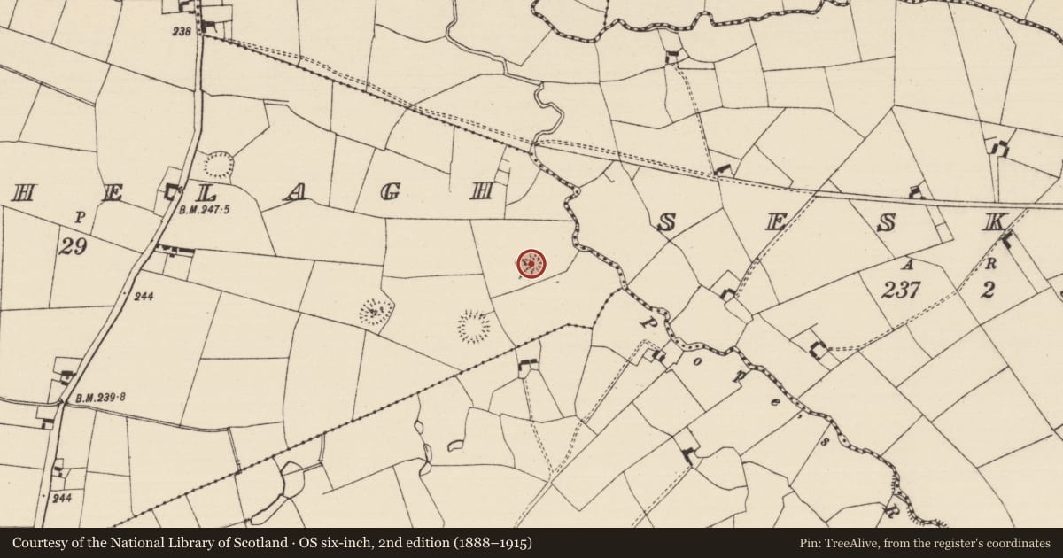 Ordnance Survey six-inch map, 2nd edition (1888–1915) covering the location of Barrow - ring-barrow, Knockphelagh, County Tipperary South, with a pin at the register's coordinates