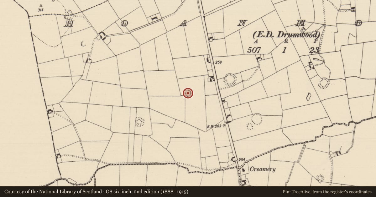 Ordnance Survey six-inch map, 2nd edition (1888–1915) covering the location of Ringfort - rath, Moanmore (Solloghodmore Par.), County Tipperary South, with a pin at the register's coordinates