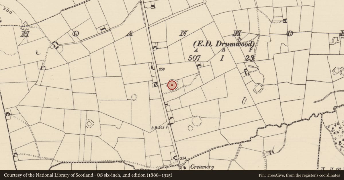 Ordnance Survey six-inch map, 2nd edition (1888–1915) covering the location of Barrow - unclassified, Moanmore (Solloghodmore Par.), County Tipperary South, with a pin at the register's coordinates