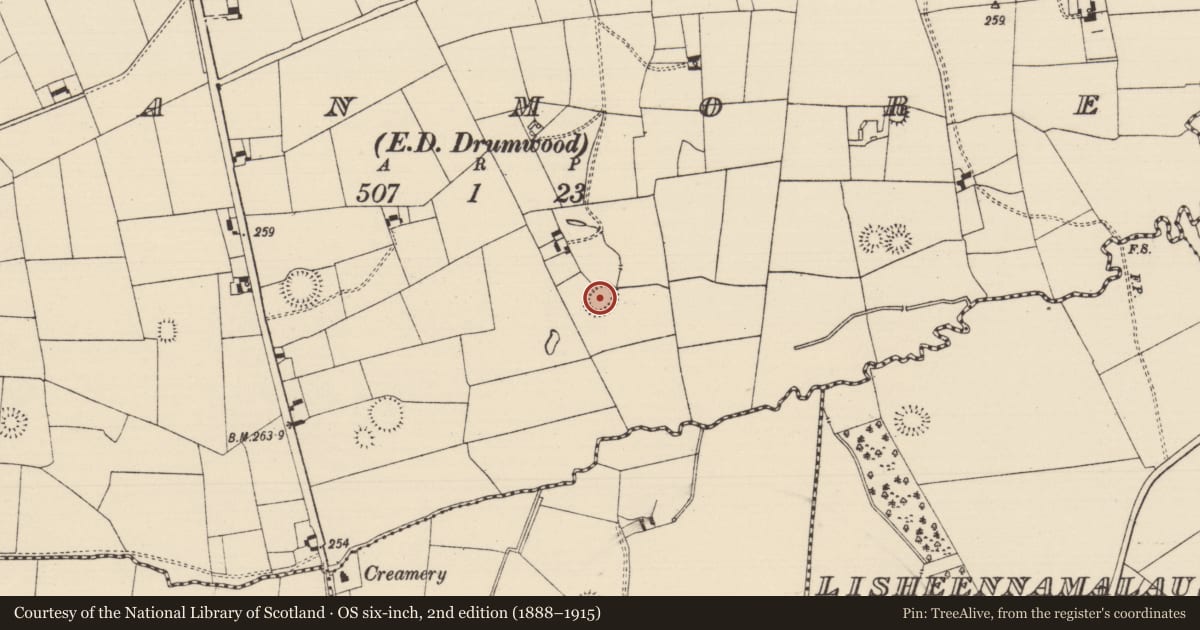 Ordnance Survey six-inch map, 2nd edition (1888–1915) covering the location of Ringfort - rath, Moanmore (Solloghodmore Par.), County Tipperary South, with a pin at the register's coordinates