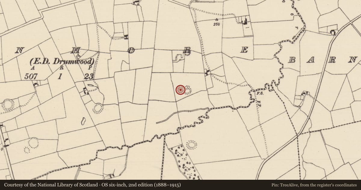 Ordnance Survey six-inch map, 2nd edition (1888–1915) covering the location of Barrow - ring-barrow, Moanmore (Solloghodmore Par.), County Tipperary South, with a pin at the register's coordinates