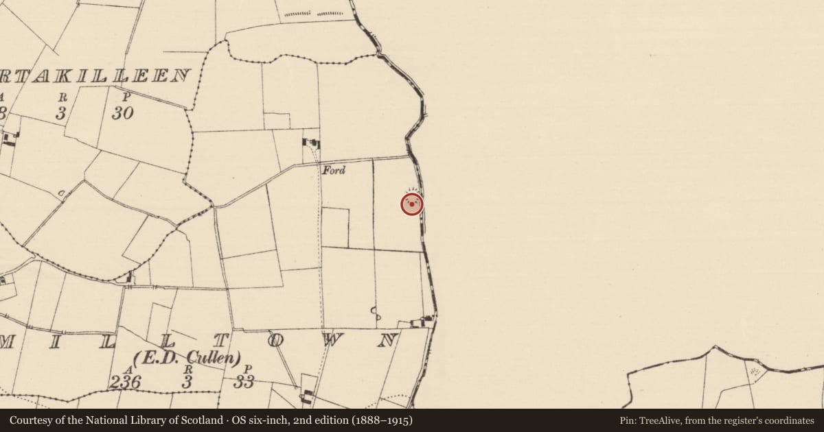 Ordnance Survey six-inch map, 2nd edition (1888–1915) covering the location of Enclosure, Milltown (Cullen Par.), County Tipperary South, with a pin at the register's coordinates