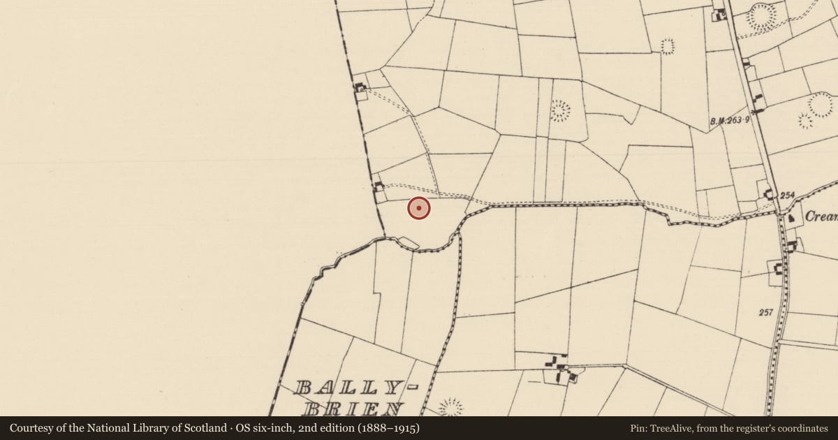 Ordnance Survey six-inch map, 2nd edition (1888–1915) covering the location of Barrow - ditch barrow, Moanmore (Solloghodmore Par.), County Tipperary South, with a pin at the register's coordinates