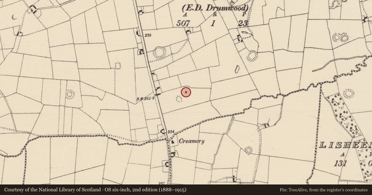 Ordnance Survey six-inch map, 2nd edition (1888–1915) covering the location of Ringfort - rath, Moanmore (Solloghodmore Par.), County Tipperary South, with a pin at the register's coordinates