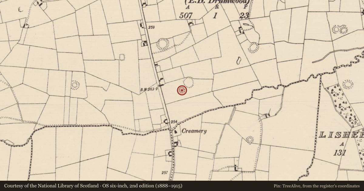 Ordnance Survey six-inch map, 2nd edition (1888–1915) covering the location of Ringfort - rath, Moanmore (Solloghodmore Par.), County Tipperary South, with a pin at the register's coordinates