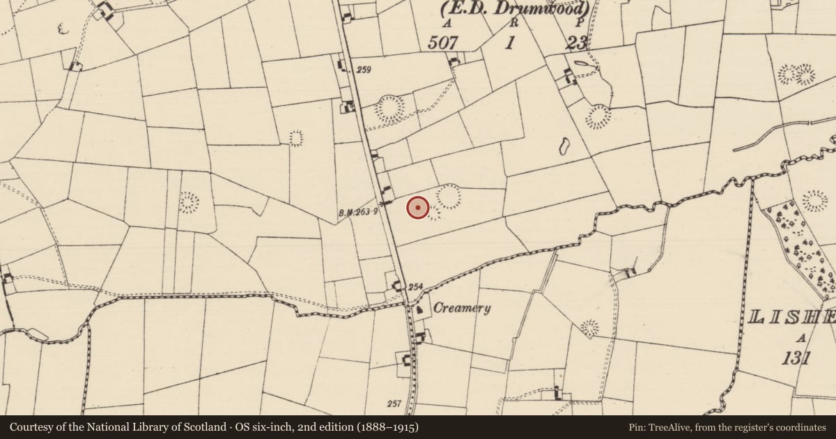 Ordnance Survey six-inch map, 2nd edition (1888–1915) covering the location of Ringfort - rath, Moanmore (Solloghodmore Par.), County Tipperary South, with a pin at the register's coordinates