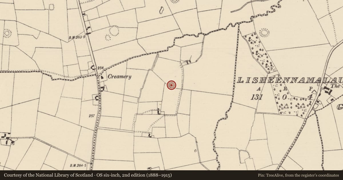 Ordnance Survey six-inch map, 2nd edition (1888–1915) covering the location of Ringfort - rath, Ballyryan West, County Tipperary South, with a pin at the register's coordinates