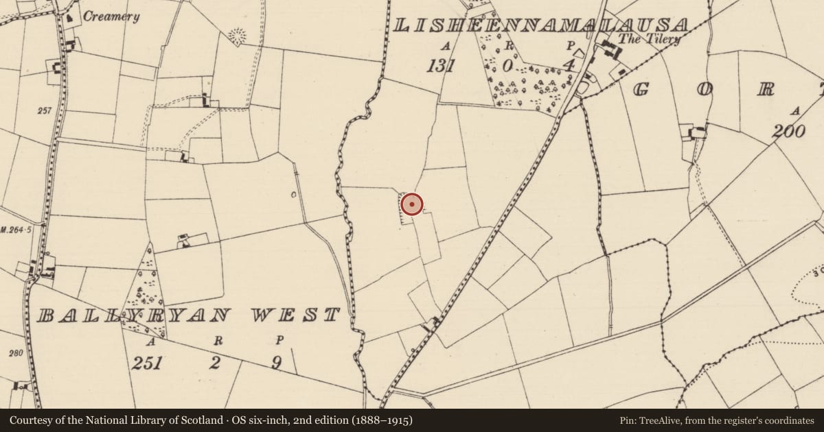 Ordnance Survey six-inch map, 2nd edition (1888–1915) covering the location of Barrow - embanked barrow, Lisheennamalausa, County Tipperary South, with a pin at the register's coordinates