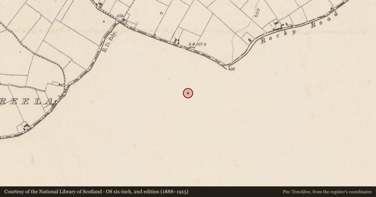 Ordnance Survey six-inch map, 2nd edition (1888–1915) covering the location of Enclosure, Longstone (Kilcornan Par.), County Tipperary South, with a pin at the register's coordinates