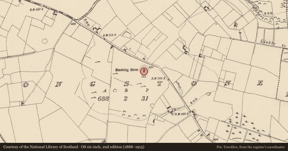 Ordnance Survey six-inch map, 2nd edition (1888–1915) covering the location of Barrow - stepped barrow, Longstone (Kilcornan Par.), County Tipperary South, with a pin at the register's coordinates