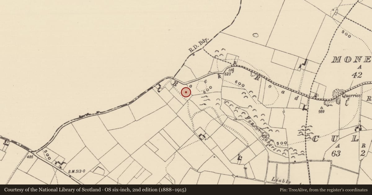 Ordnance Survey six-inch map, 2nd edition (1888–1915) covering the location of Enclosure, Longstone (Cullen Par.), County Tipperary South, with a pin at the register's coordinates