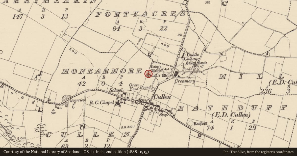 Ordnance Survey six-inch map, 2nd edition (1888–1915) covering the location of Ritual site - holy well, Rathduff (Cullen Par.), County Tipperary South, with a pin at the register's coordinates