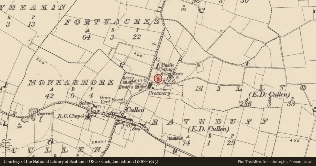 Ordnance Survey six-inch map, 2nd edition (1888–1915) covering the location of Castle - unclassified, Rathduff (Cullen Par.), County Tipperary South, with a pin at the register's coordinates