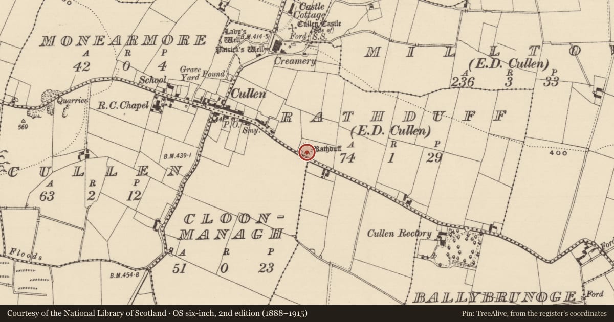 Ordnance Survey six-inch map, 2nd edition (1888–1915) covering the location of Castle - ringwork, Rathduff (Cullen Par.), County Tipperary South, with a pin at the register's coordinates