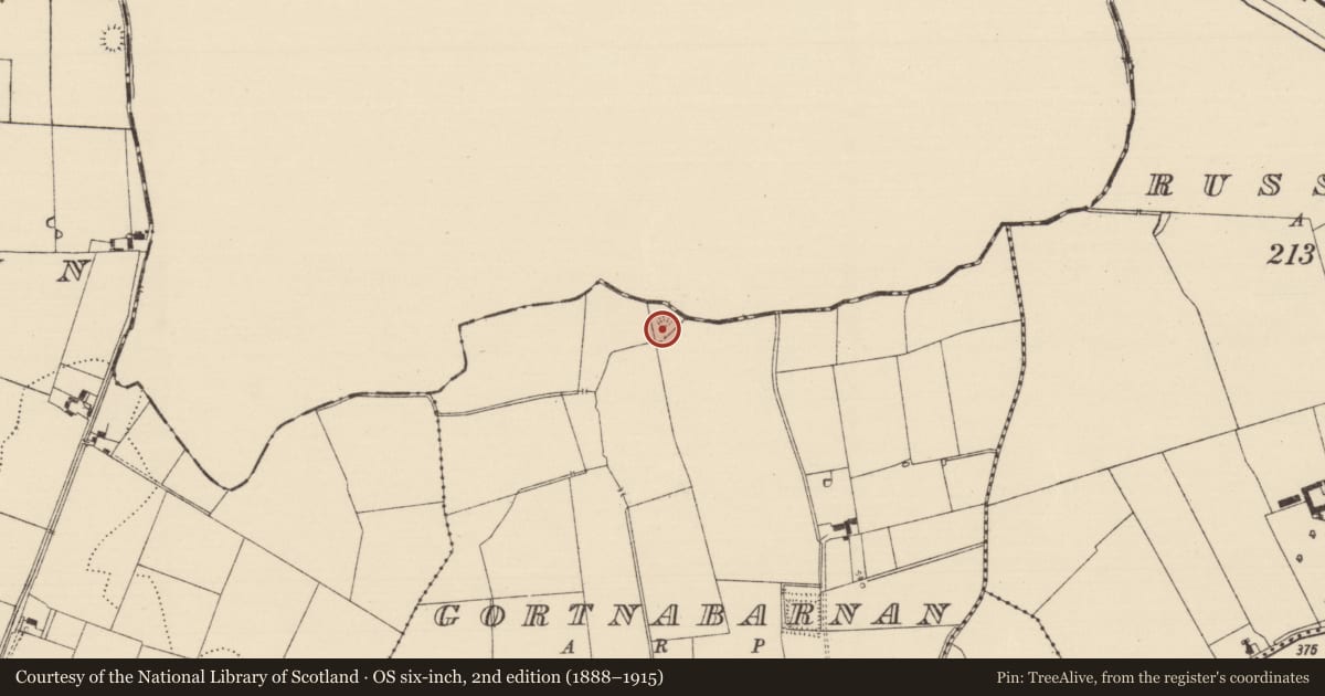 Ordnance Survey six-inch map, 2nd edition (1888–1915) covering the location of Fulacht fia, Gortnabarnan, County Tipperary South, with a pin at the register's coordinates