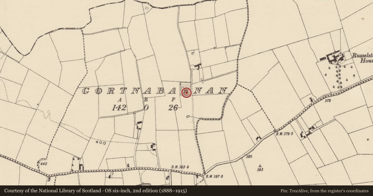 Ordnance Survey six-inch map, 2nd edition (1888–1915) covering the location of Moated site, Gortnabarnan, County Tipperary South, with a pin at the register's coordinates