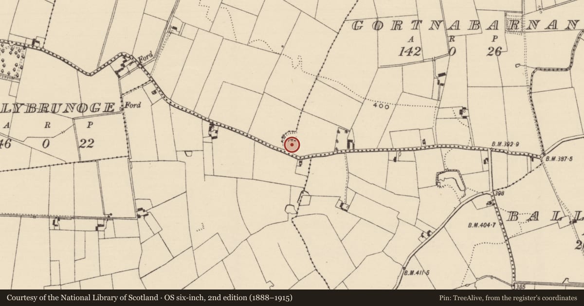 Ordnance Survey six-inch map, 2nd edition (1888–1915) covering the location of Ringfort - rath, Gortnabarnan, County Tipperary South, with a pin at the register's coordinates