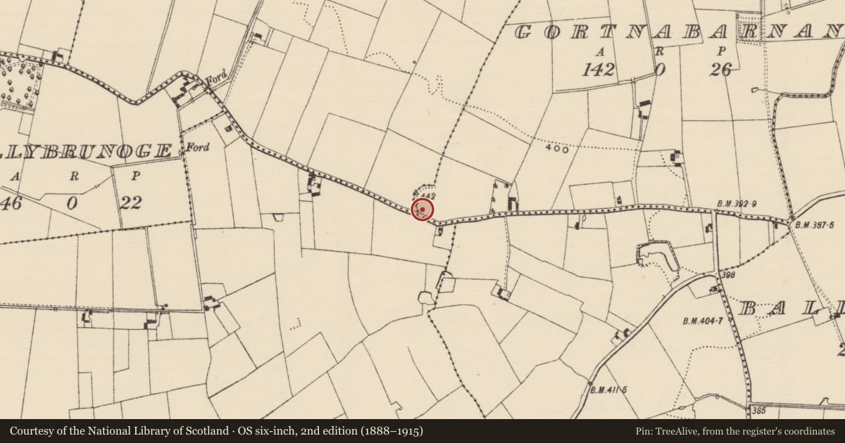 Ordnance Survey six-inch map, 2nd edition (1888–1915) covering the location of Mass-rock, Gortnabarnan, County Tipperary South, with a pin at the register's coordinates