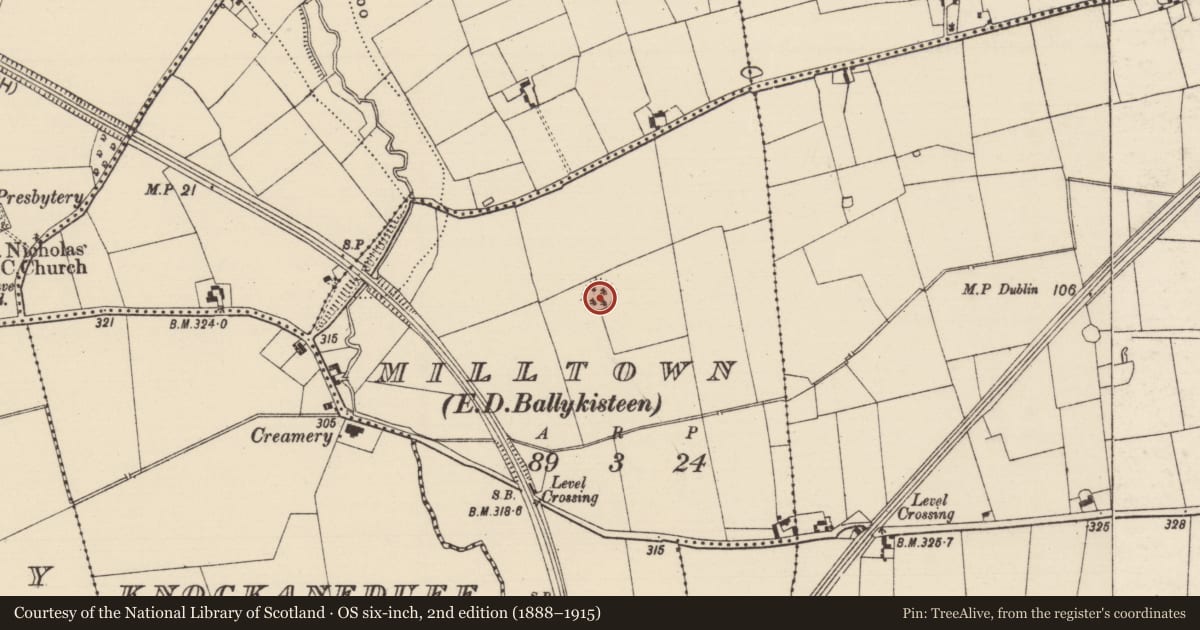 Ordnance Survey six-inch map, 2nd edition (1888–1915) covering the location of Enclosure, Milltown (Solloghodmore Par.), County Tipperary South, with a pin at the register's coordinates