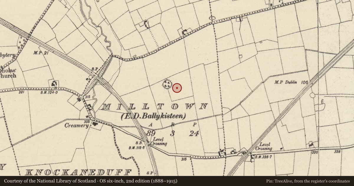 Ordnance Survey six-inch map, 2nd edition (1888–1915) covering the location of Enclosure, Milltown (Solloghodmore Par.), County Tipperary South, with a pin at the register's coordinates