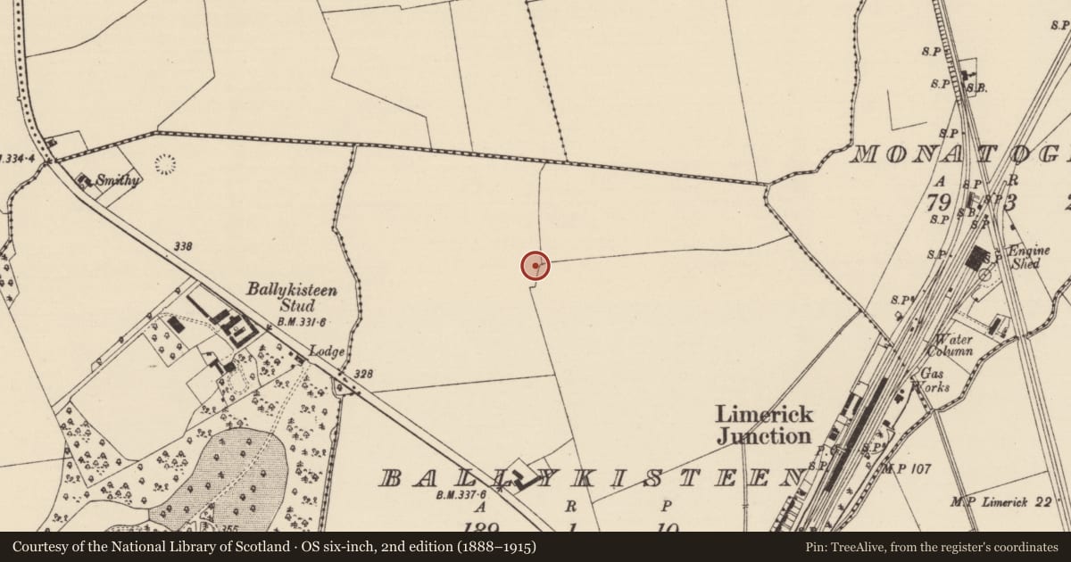 Ordnance Survey six-inch map, 2nd edition (1888–1915) covering the location of Field system, Ballykisteen, County Tipperary South, with a pin at the register's coordinates