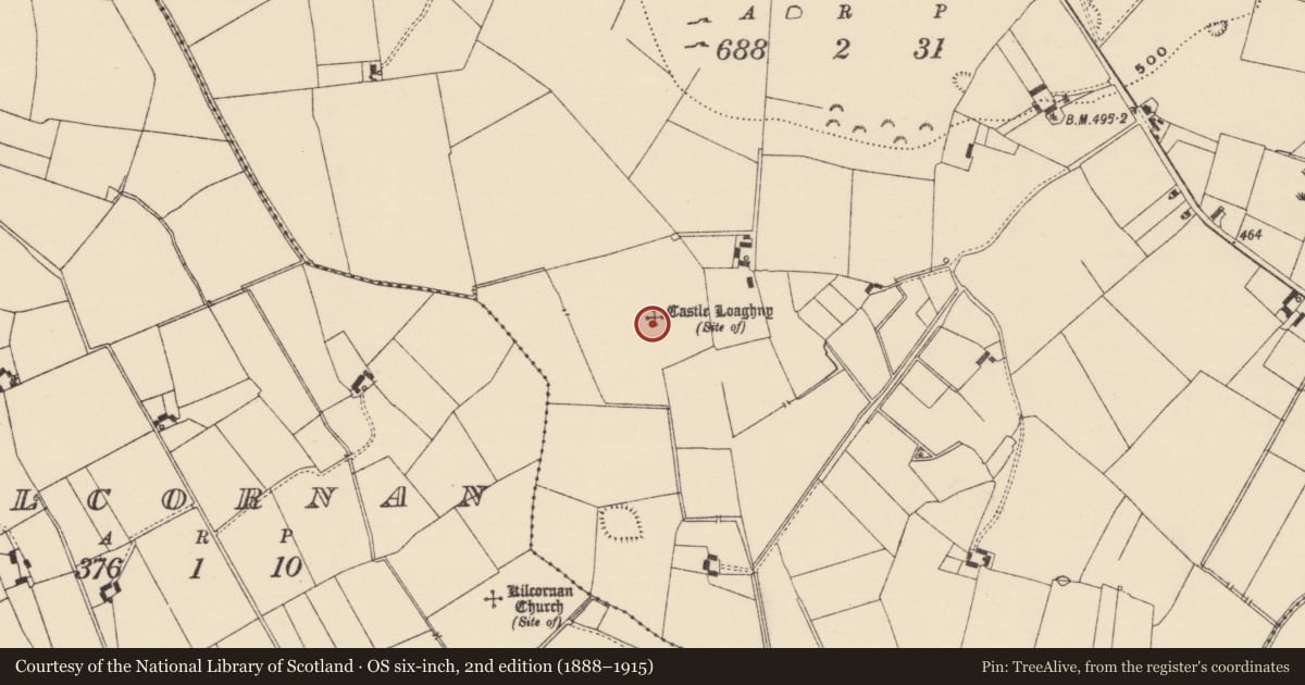 Ordnance Survey six-inch map, 2nd edition (1888–1915) covering the location of Castle - unclassified, Longstone (Kilcornan Par.), County Tipperary South, with a pin at the register's coordinates