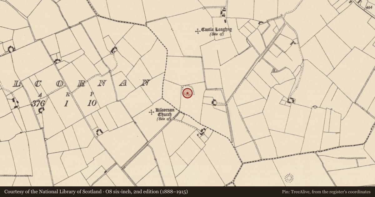Ordnance Survey six-inch map, 2nd edition (1888–1915) covering the location of Ringfort - rath, Longstone (Kilcornan Par.), County Tipperary South, with a pin at the register's coordinates