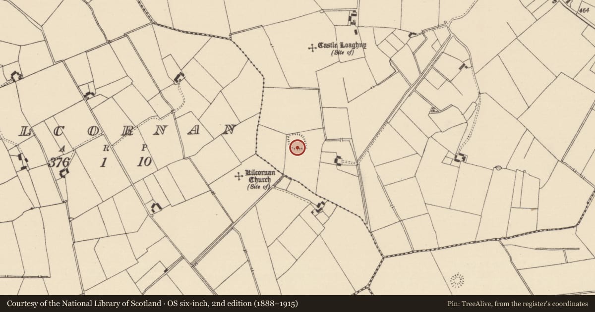 Ordnance Survey six-inch map, 2nd edition (1888–1915) covering the location of House - early medieval, Longstone (Kilcornan Par.), County Tipperary South, with a pin at the register's coordinates